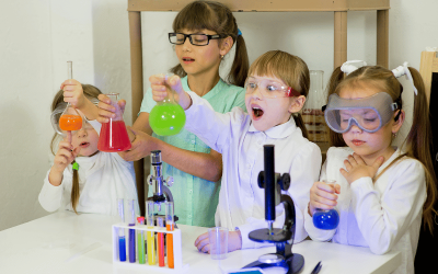 Succesvol wetenschap en technologie onderwijs in de basisschool en het voortgezet onderwijs: wat werkt? 